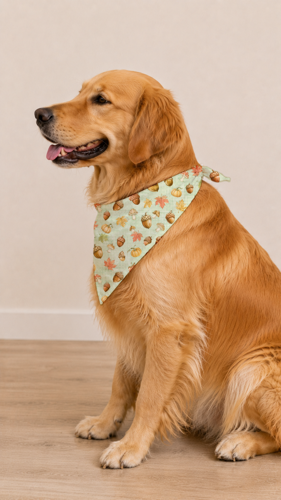 A golden retriever dog sitting on a light wood floor against a beige wall, wearing a light green bandana-style dog collar with a brown and orange acorn pattern.