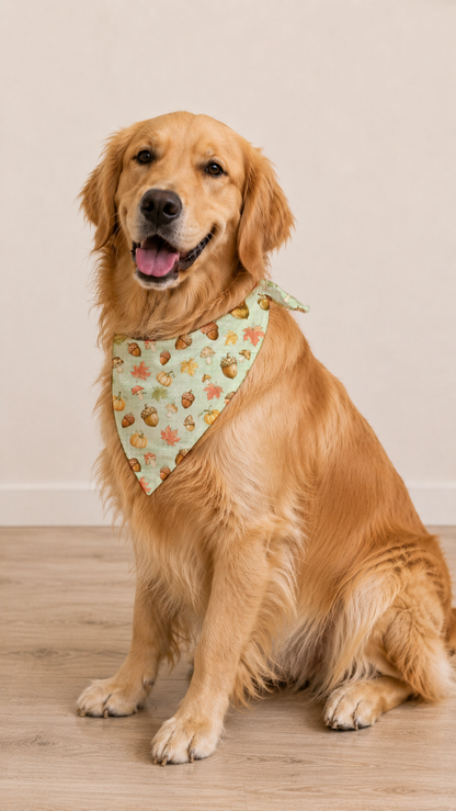 A golden retriever dog sitting on a light wood floor against a plain beige wall, wearing a cream bandana with a delicate floral and butterfly pattern.