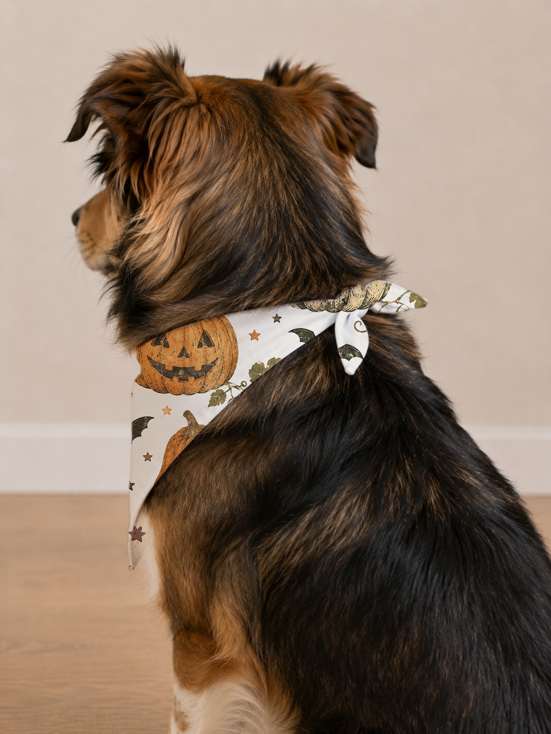 Mixed Dog wearing a Halloween Pumpkin Dog Bandana in a back view.