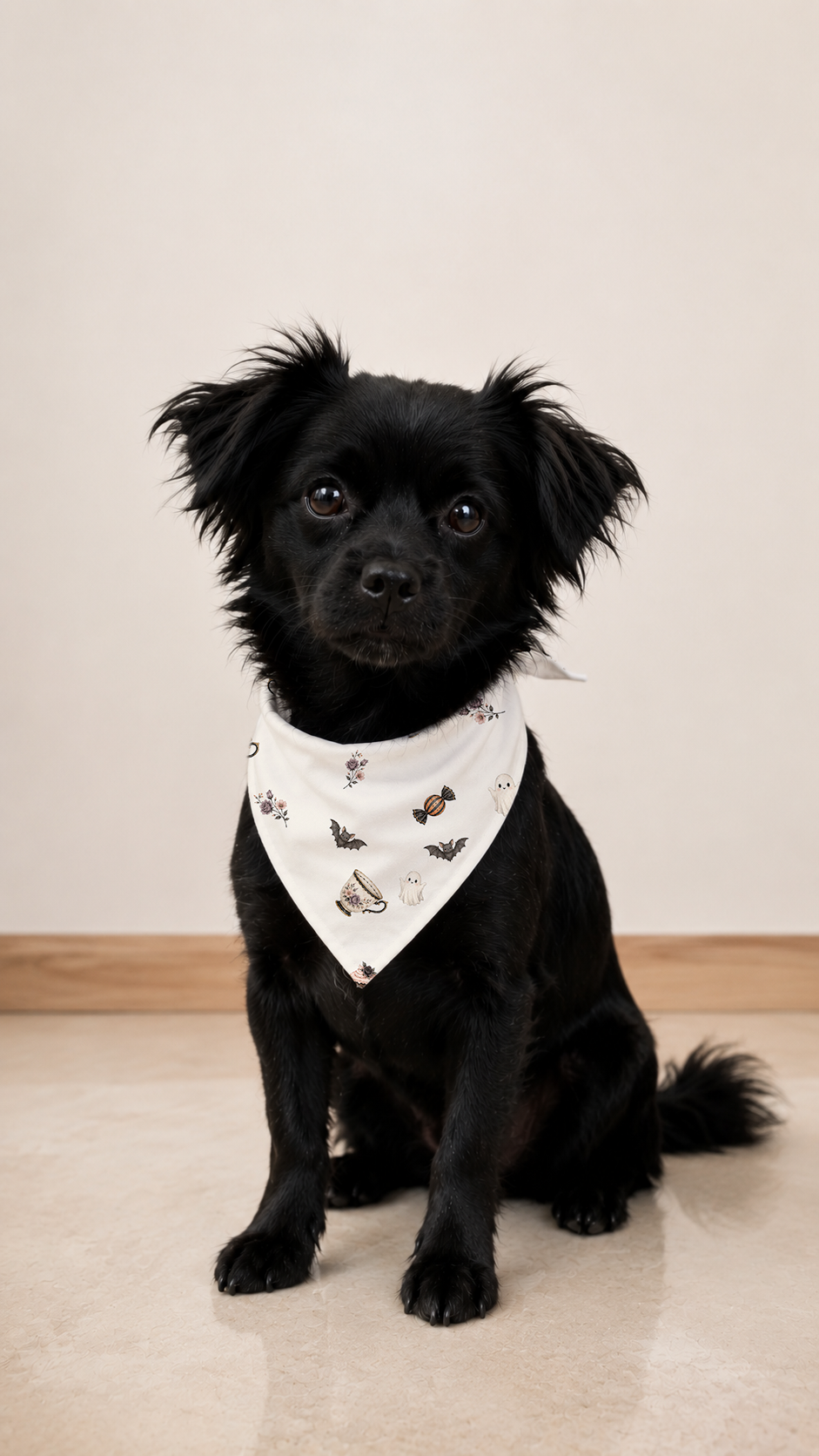 A small black dog sitting on a light beige floor against a plain beige wall, wearing a white bandana with a colorful floral pattern.
