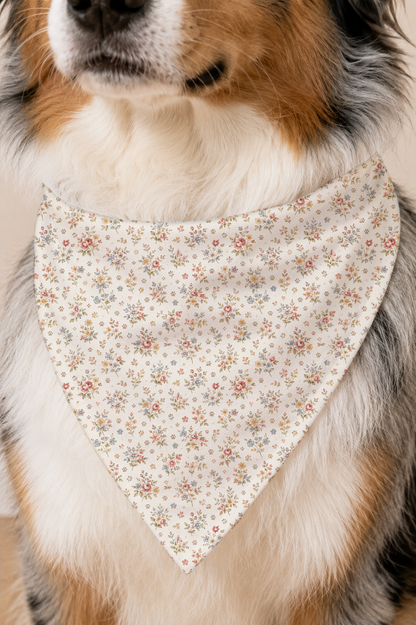 A close-up of a dog wearing a triangular bandana bib with a delicate multicolor floral pattern on a cream background.