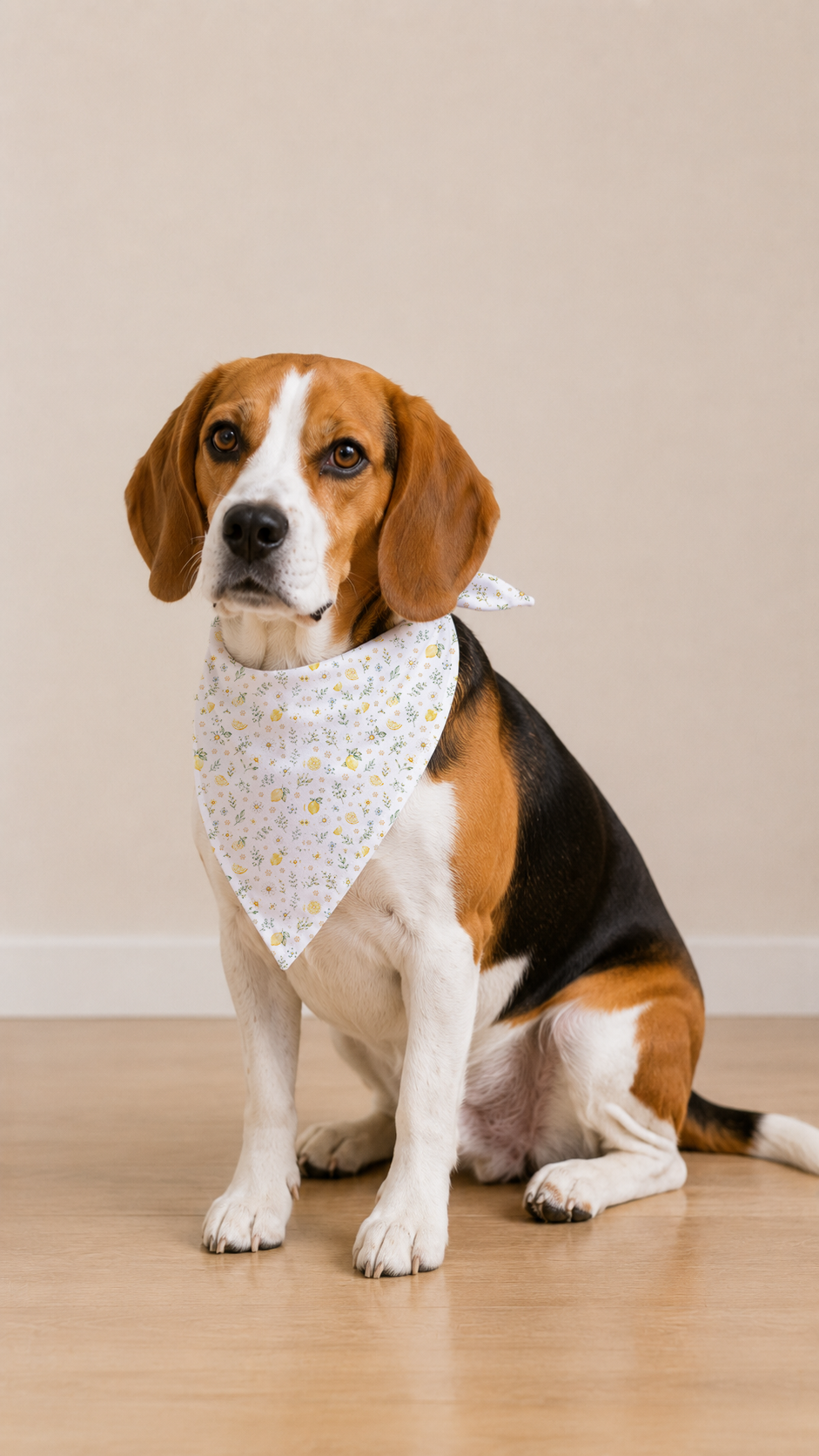 Beagle wearing a Lemon Daisy Dog Bandana in a three-quarter view.
