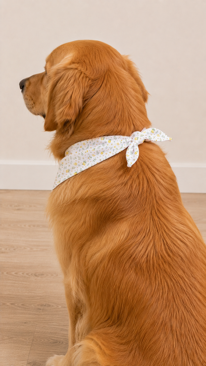 Golden wearing a Lemon Daisy Dog Bandana in a back view.