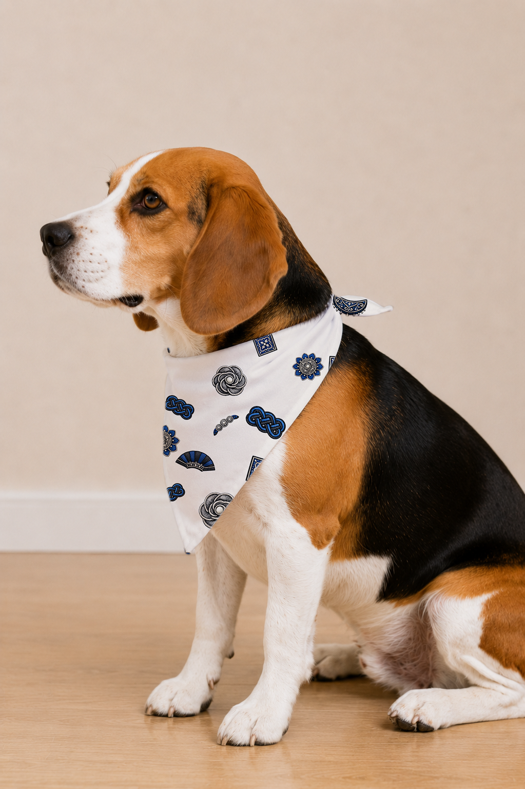A beagle dog wearing a white bandana with a navy blue cloud pattern, sitting on a light wood floor against a beige wall.