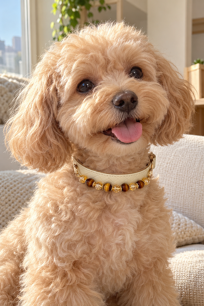 Tiger's Eye Crystal Pet Collar – Yellow Crystal & Cream Basket-Weave Band
