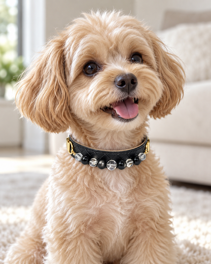 Clear Quartz Crystal Pet Collar – Clarity & Protection | Silver Sheen Obsidian