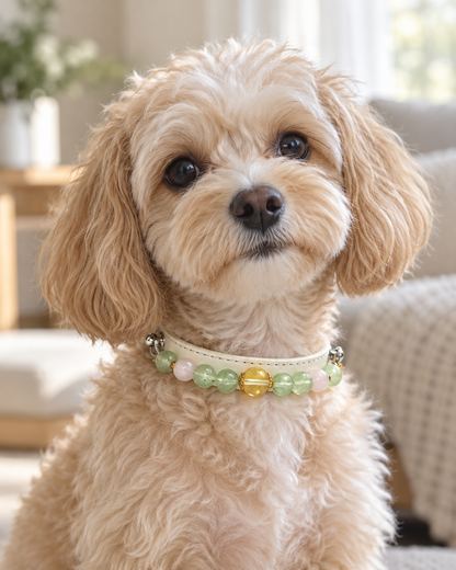 Prehnite Crystal Pet Collar – Calm & Balance | Citrine