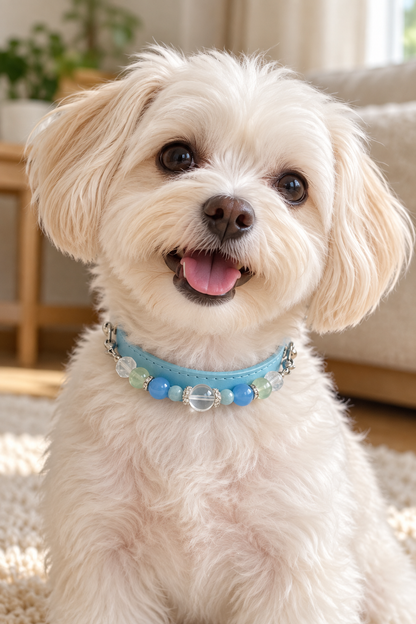 Aquamarine Crystal Pet Collar – Prehnite, Clear Quartz & Light Blue Band