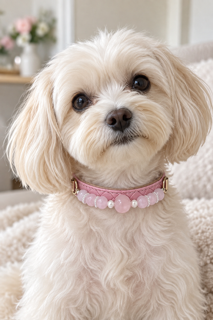 Rose Quartz Crystal Pet Collar – Soft Pink Beads & Shell Accents