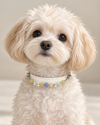 Aquamarine Crystal Pet Collar – White Smooth Style | Agate & Green Phantom Quartz