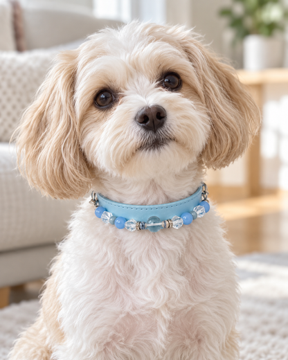Aquamarine Crystal Pet Collar – Clear Quartz & Light Blue Band
