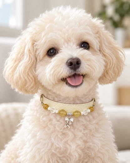 Citrine, Clear Quartz & Pearl Pet Collar – Ivory Quilted Charm Design