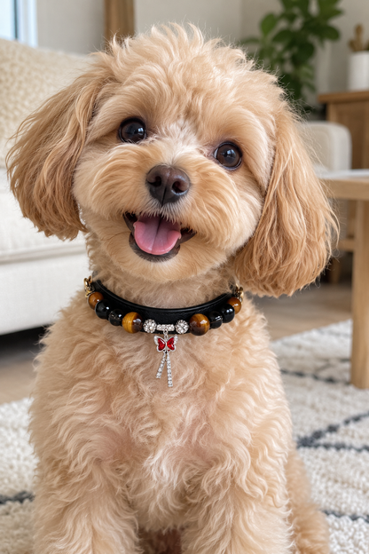 A fluffy light brown dog wearing a black beaded collar with brown and amber beads and a silver bow charm, sitting indoors on a patterned rug.