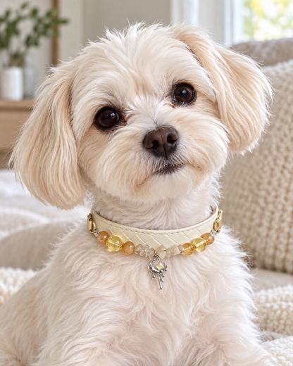 Citrine Crystal Pet Collar – Luck & Abundance | Moon Charm