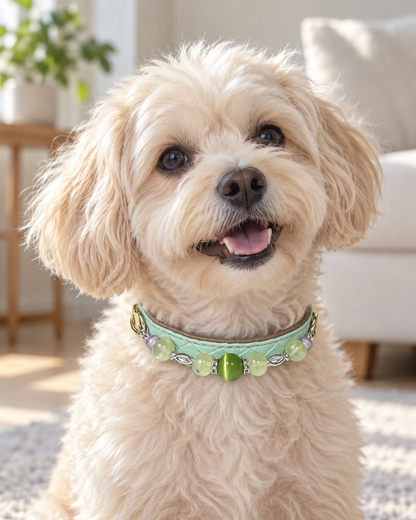 Prehnite Crystal Pet Collar – Soft Green Style | Amethyst & Cat’s Eye Glass