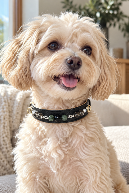 Obsidian Crystal Pet Collar – Smoky Quartz, Jade & Black Diamond-Pattern Band