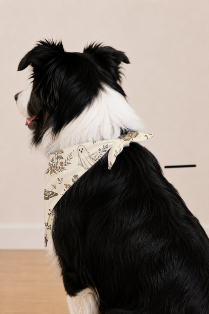A black and white dog wearing a cream-colored bandana with a delicate floral and bird pattern, shown from the side against a plain beige wall and light wood floor.