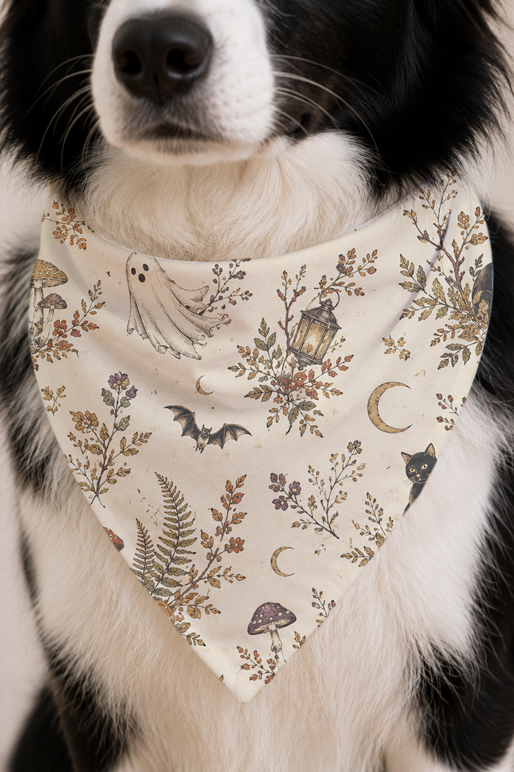 A close-up of a black and white dog wearing a cream-colored bandana with a vintage-style Halloween print featuring ghosts, bats, mushrooms, lanterns, and moons.