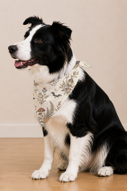 A black and white Border Collie sits on a light wood floor wearing a beige bandana with a vintage-style botanical and insect pattern.