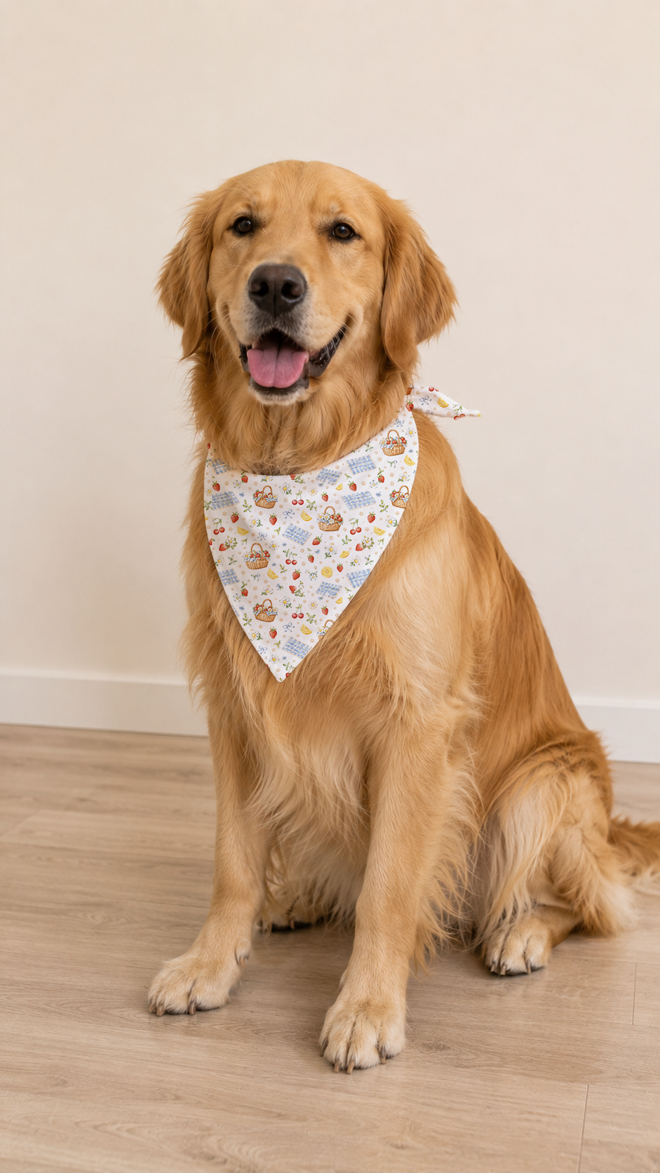 Golden retriever wearing a picnic dog bandana for summer pet photos.
