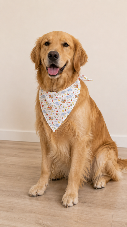 Golden retriever wearing a picnic dog bandana for summer pet photos.