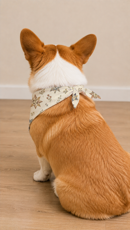A corgi dog sitting on a light wood floor, viewed from behind, wearing a beige bandana with a floral and star pattern tied around its neck.
