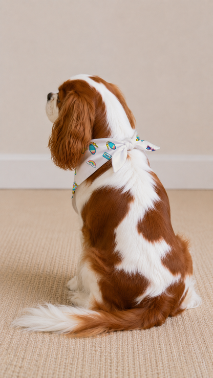 A brown and white Cavalier King Charles Spaniel dog sits on a beige carpet, wearing a white bandana with a colorful fish pattern.