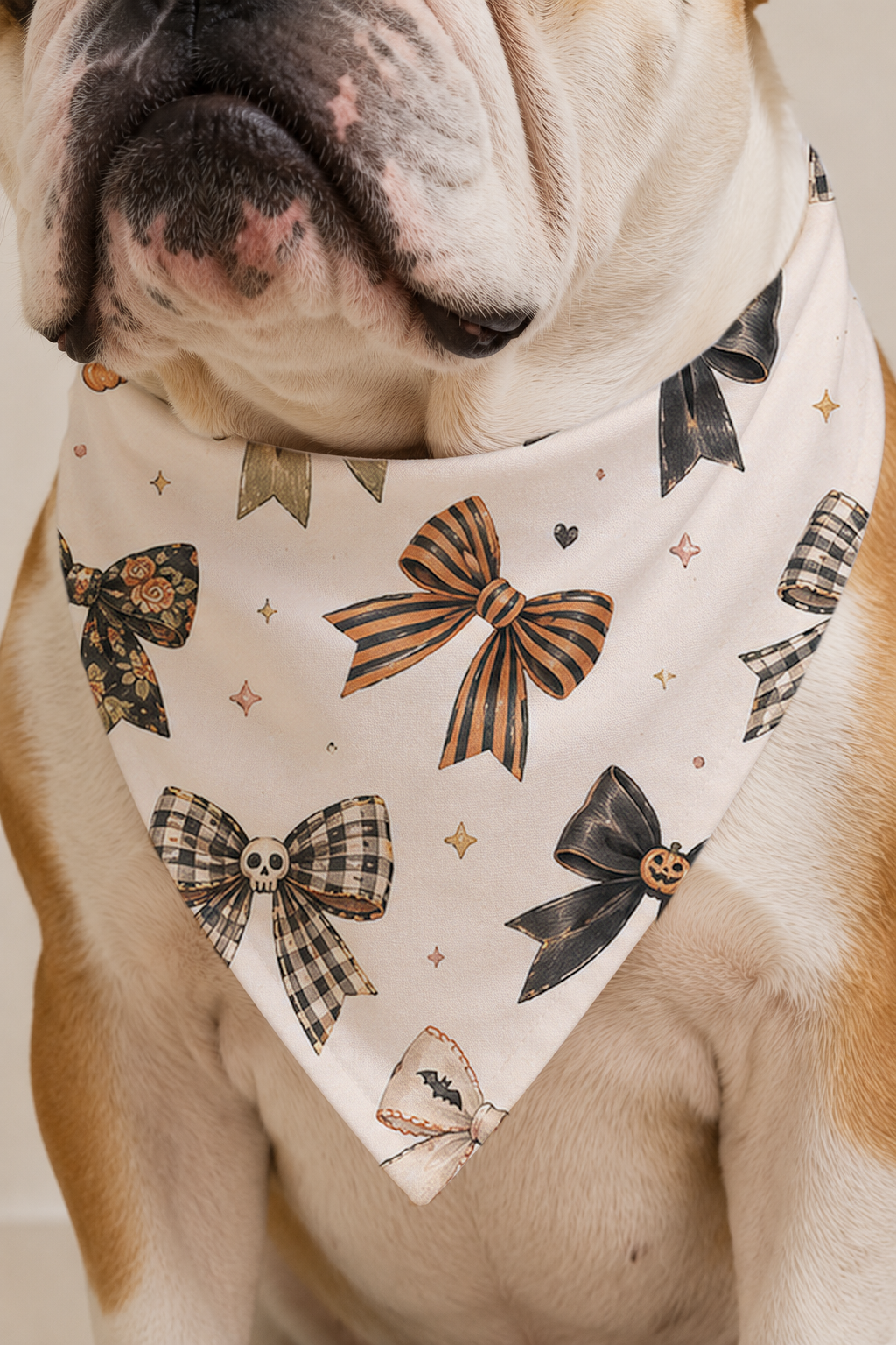 A close-up of a bulldog wearing a cream-colored dog bandana printed with various black, brown, and plaid bows.