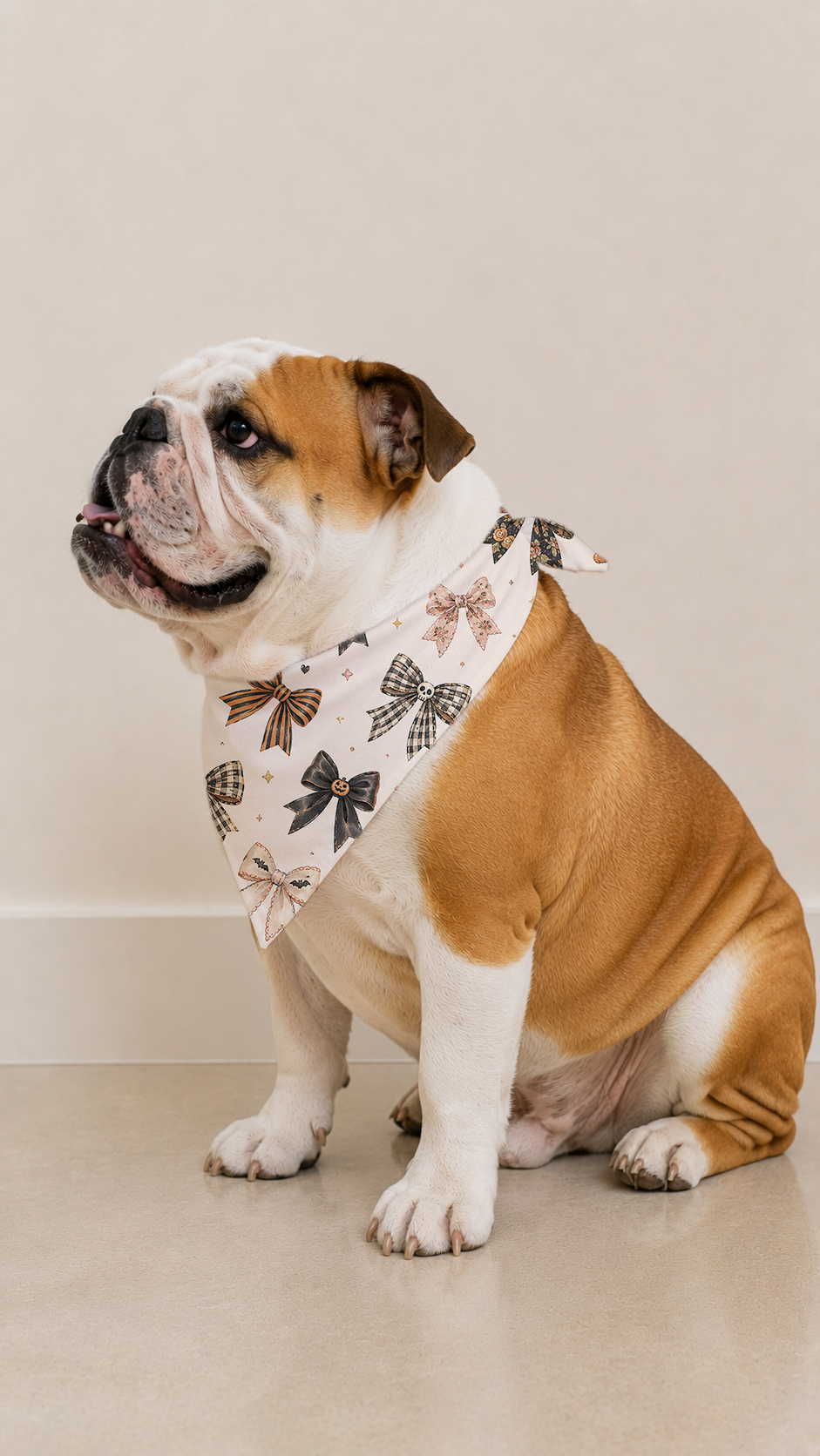 An English Bulldog wearing a white bandana with a bow pattern, sitting against a plain beige wall and floor.