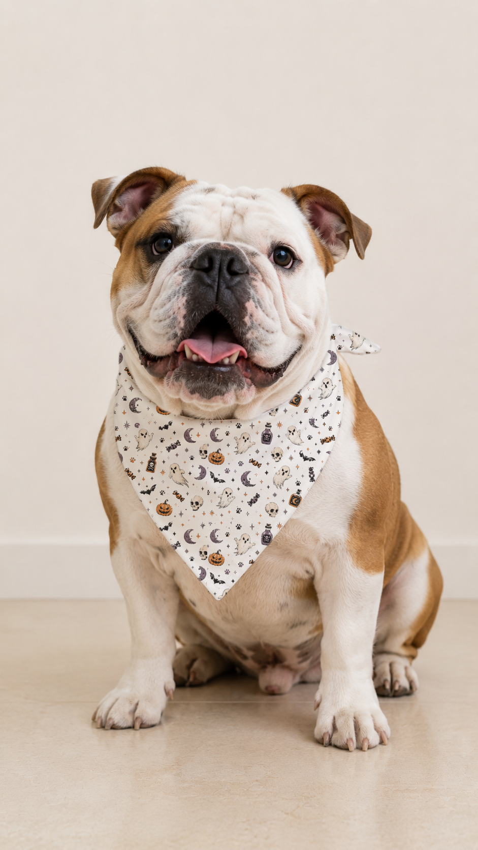 An English Bulldog wearing a white bandana with a black moon and star pattern, sitting on a light beige floor against a neutral beige wall.