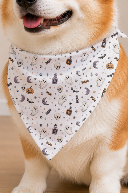 A close-up of a corgi dog wearing a white triangular bandana with a Halloween print of ghosts, pumpkins, moons, bats, and skulls.