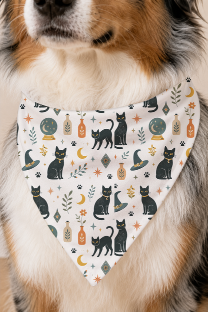 A close-up of a dog wearing a triangular bandana with a Halloween-themed print featuring black cats, witch hats, crystals, and pumpkins on an off-white background.