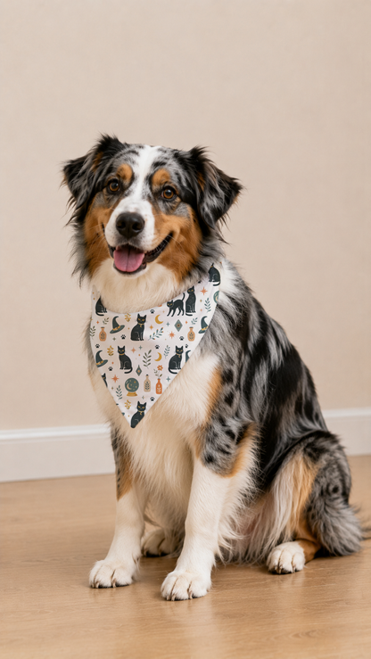 An Australian Shepherd dog wearing a white bandana with a colorful cat pattern, sitting on a light wood floor against a beige wall.