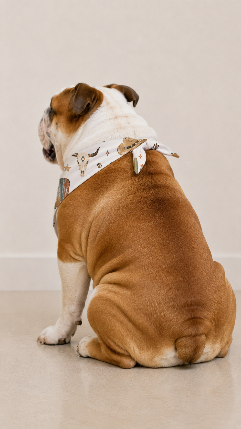 A brown and white bulldog sits facing away from the camera wearing a white bandana with a small dog print and a silver collar, set against a plain beige studio background.