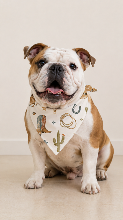 A white and tan English Bulldog wearing a white bandana with a western print of boots, horseshoes, cacti, and stars, sitting on a light beige floor against a neutral beige wall.