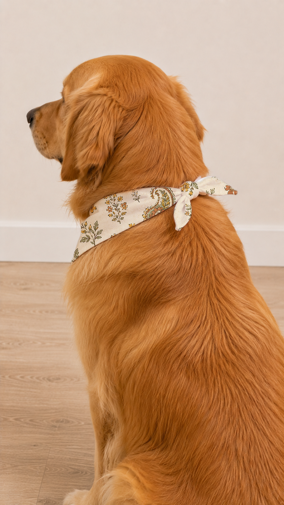 A golden retriever dog wearing a cream-colored bandana with a green floral pattern, tied around its neck, sitting on a light wood floor against a neutral beige wall.