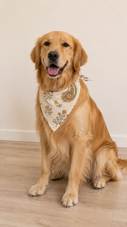A golden retriever dog sitting on a light wood floor against a plain beige wall, wearing a cream bandana with a green and gold paisley pattern.