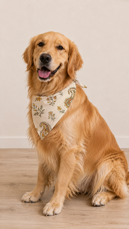 A golden retriever dog sitting on a light wood floor against a plain beige wall, wearing a cream bandana with a gold and green paisley pattern.
